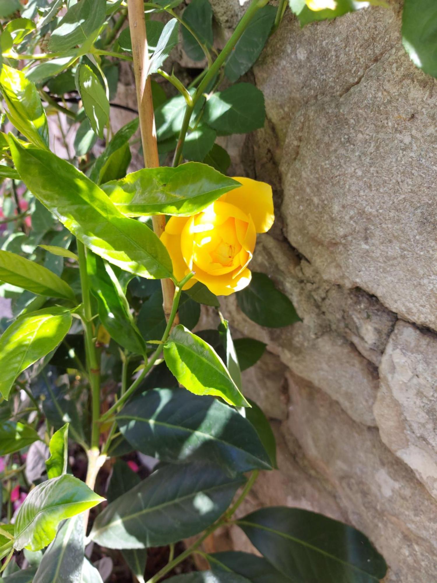 And Stone House Apartamento Split